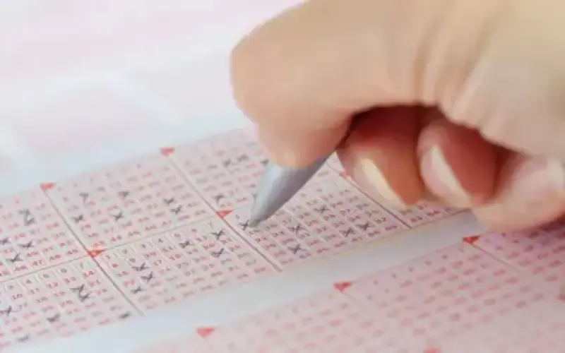 Kerala Lottery Result Yesterday at Tata Game body image